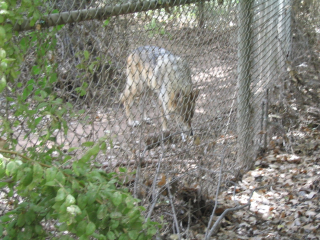 618x457 pixels (241K)